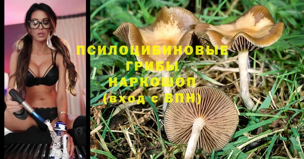 ALPHA-PVP Алексин