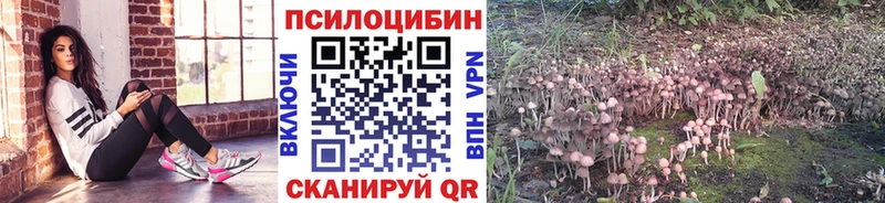 Псилоцибиновые грибы Magic Shrooms  что такое   ссылка на мегу ТОР  Комсомольск 